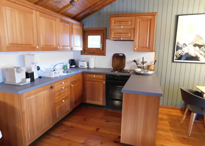 Bortergade By Interhome Tatil Evi Bellwald